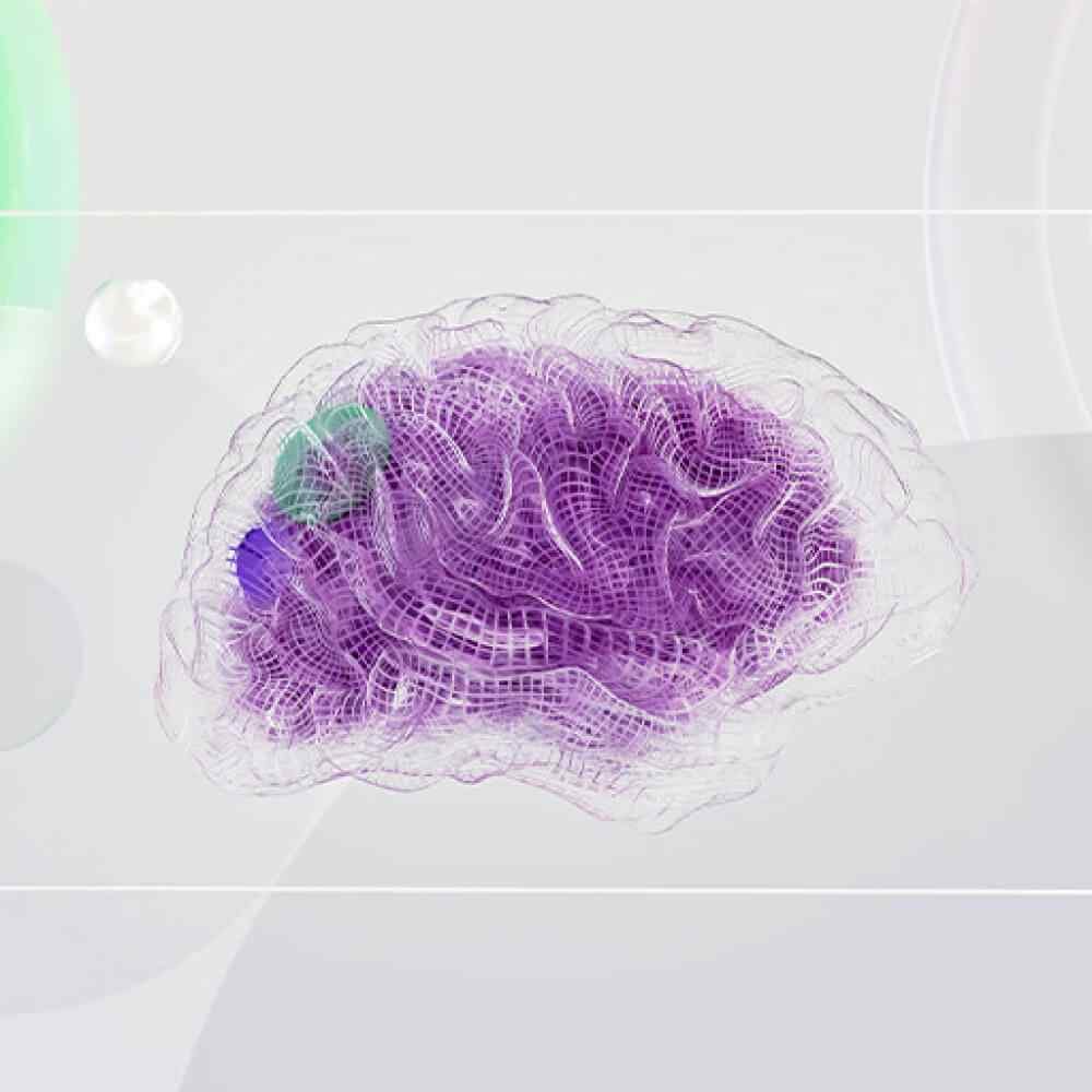 inner_image_02 https://digital-marketing.sciwiz.net/wp-content/uploads/2023/11/inner_image_02.jpg